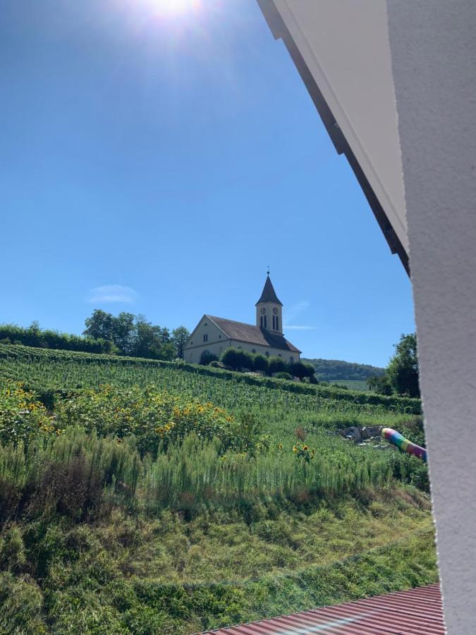 Ruedlins-Winzerhof Appartement Auggen Buitenkant foto