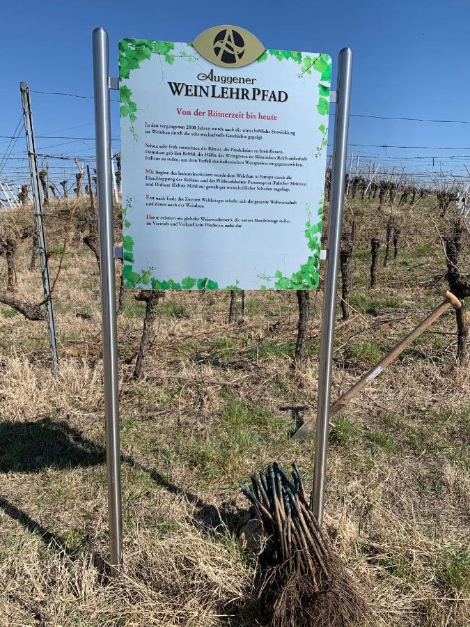 Ruedlins-Winzerhof Appartement Auggen Buitenkant foto